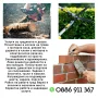 Услуги за градината и двора , снимка 1