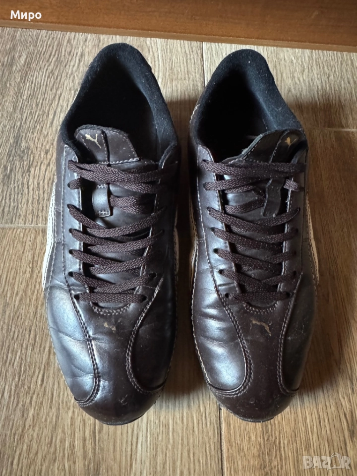 Puma, снимка 1