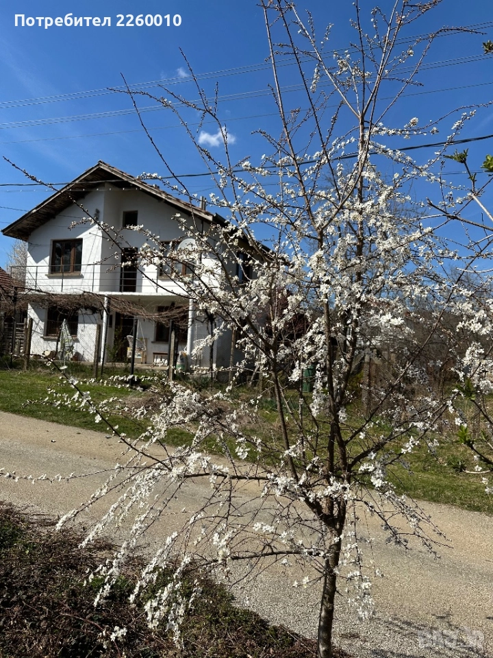 Продавам къща в село Голец, снимка 1