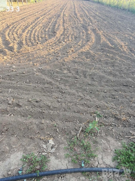 Парцел в село Полковник Свещарово, Добрич, снимка 1