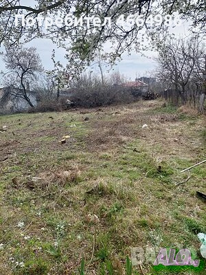 Почистване на дворни места класиране на трева, снимка 2 - Други услуги - 53741749