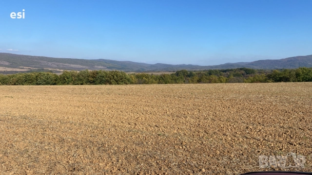 50 ДЕКАРА ЗЕМЕДЕЛСКА ЗЕМЯ област Варна, общ. Дългопол - 100 ЛВ/рента - Авансово Платена, снимка 6 - Земеделска земя - 52128235