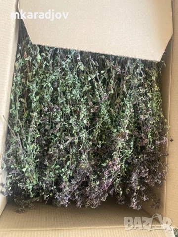 Чай, Билки, Подправки, плодове еко био, снимка 17 - Домашни продукти - 46647684