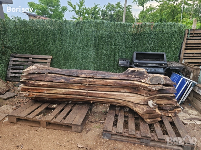 Продавам янове от орех, снимка 15 - Дърводелски услуги - 51842674