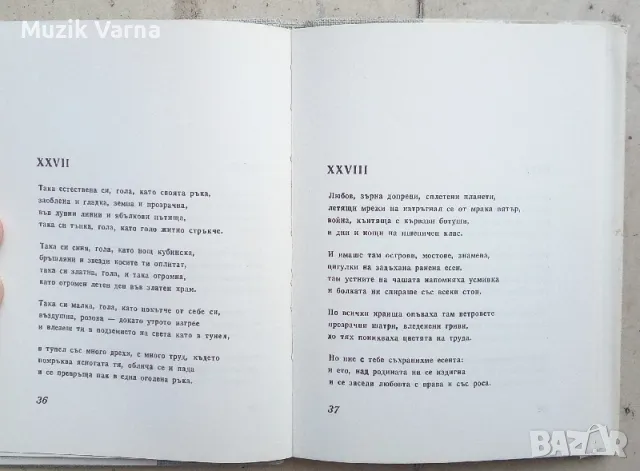 "Сто сонета за любовта" - Пабло Неруда, снимка 2 - Художествена литература - 46972061