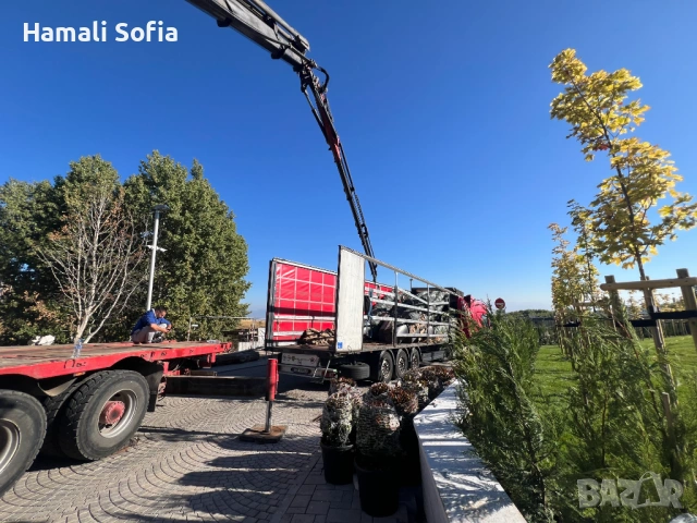 Хамали София 24-7 ЕООД, снимка 13 - Хамалски услуги - 54301510