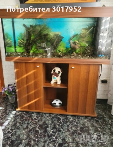СПЕШНО !!Голям ,оборудван аквариум -120 литра в комплект с дървен шкаф.Запазен., снимка 1