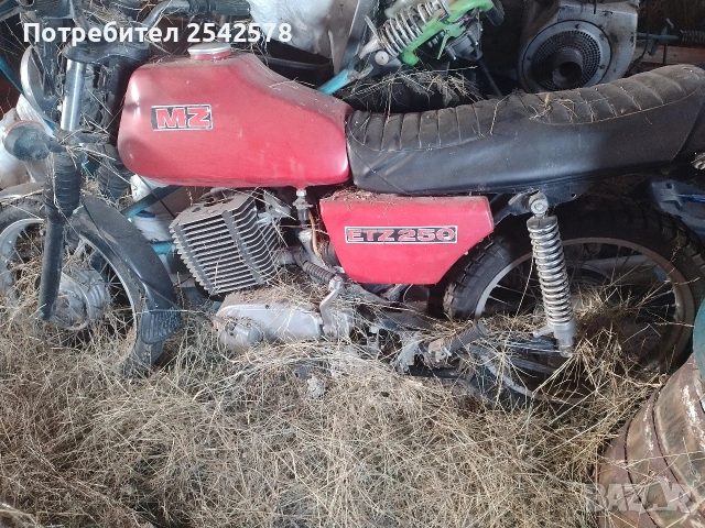 MZ 250