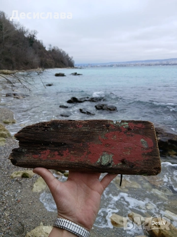 Аквариум , снимка 12 - Оборудване за аквариуми - 53861136