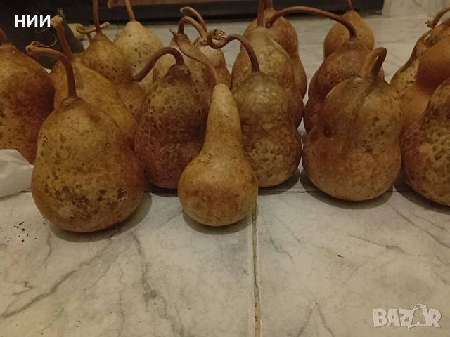 Продавам кратунки 