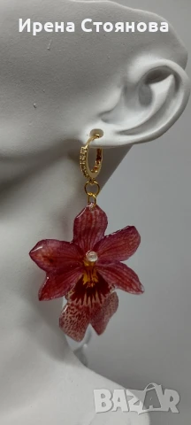 Обеци с естествен цвят на мини орхидея Miltonia. Цветче с размери 5/4,5 см. , снимка 10 - Обеци - 51090714