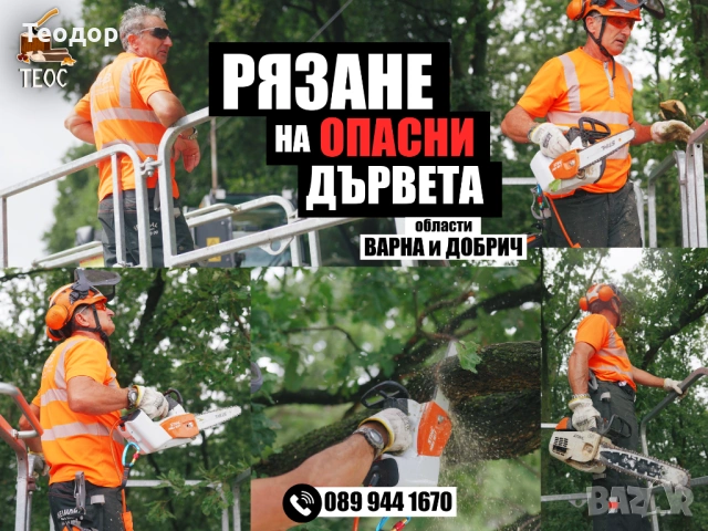 Рязане на опасни дървета и дробене на клони – Варна