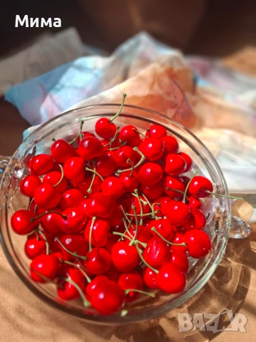 Изкуствени резенчета плодове, снимка 17 - Декорация за дома - 51359601