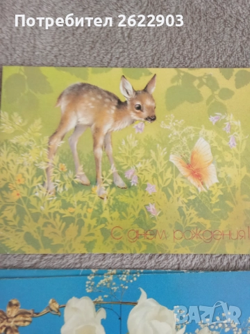 Руски поздравителни картички за рожден ден, снимка 8 - Колекции - 52413146