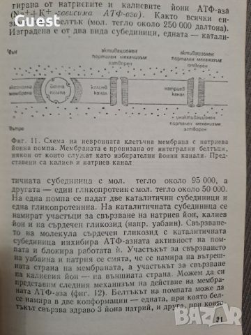 Химия на емоциите и поведението П.Попов, снимка 3 - Специализирана литература - 46060504