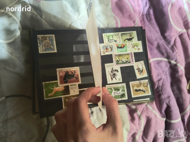 Колекционерски марки, снимка 10 - Филателия - 53399738