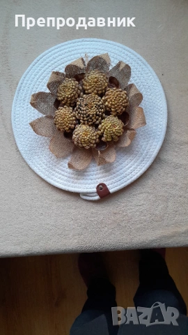 Слънце от шишарки!