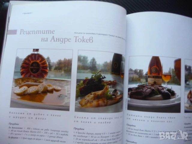 Бакхус порцеланът Тити Папазов Навара българско вино ресторанти храна напитки, снимка 6 - Списания и комикси - 50903752