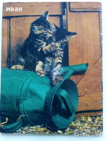 Комикс "Pifou"  №9 , № 10, № 17, снимка 5 - Списания и комикси - 31374575