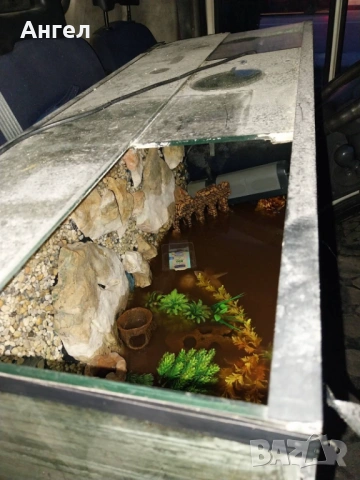 Аквариум за рибки