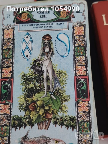 Таро карти Les tarot Celtiques, снимка 7 - Карти за игра - 53937966