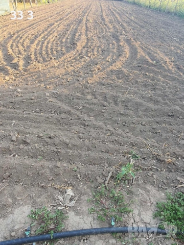 Парцел в село Полковник Свещарово, Добрич, снимка 1