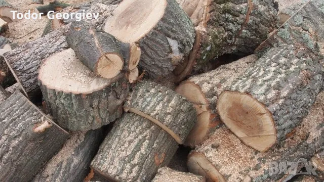 Режа дърва за печка за камина също така и опасни дървета на височина , снимка 1 - Други услуги - 47328319