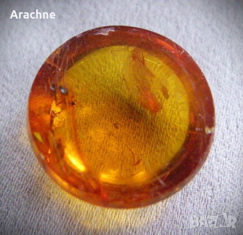 Кехлибар-кабошон с 4 комара и 1 крило, снимка 4 - Други - 48628017