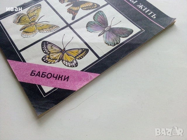 Они должны жить - Бабочки - Н.И.Кочетова - 1990г., снимка 12 - Енциклопедии, справочници - 53111027