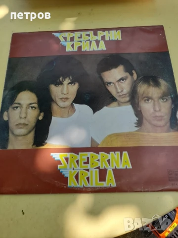 плочи за грамофон , снимка 17 - Грамофонни плочи - 50782233