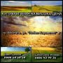 Купуваме земеделска земя в обл.Монтана!, снимка 1 - Парцели - 45761148
