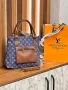 Дамски Кожени Чанти LOUIS VUITTON , снимка 5