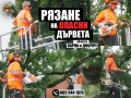 Рязане на опасни дървета и почистване на дворове – Варна, снимка 1