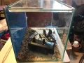 Аквариуми 2 броя /единия може и за терариум/, снимка 3