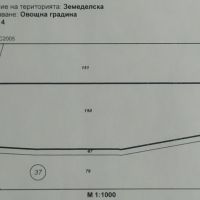 Парцел /земеделска земя/ - село Войнежа, снимка 1 - Земеделска земя - 45115780