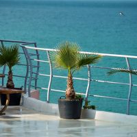 Давам под наем панорамен ресторант над централния плаж на град Обзор., снимка 4 - Заведения - 45580490
