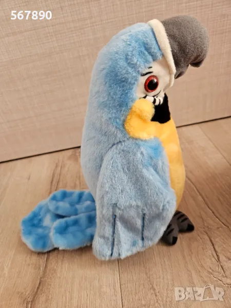 Папагал повтарящ, снимка 1