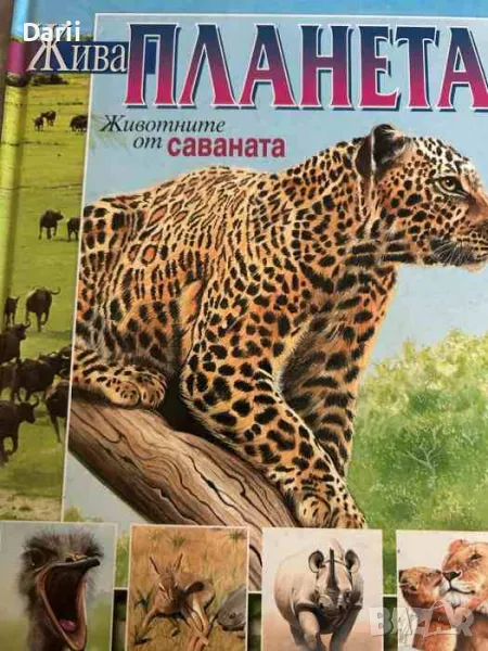 Жива планета: Животните от саваната, снимка 1