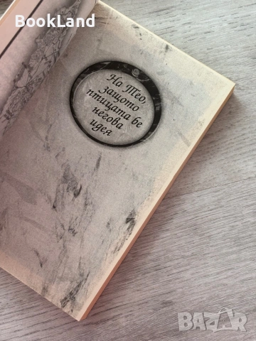 Крадецът на магия: Изгубен | Сара Приниъс, снимка 7 - Други - 53199426