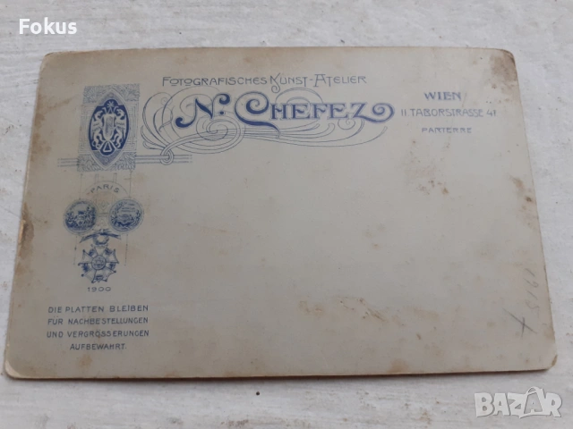 Стара снимка Австрия - дебел картон - жена, снимка 4 - Антикварни и старинни предмети - 53306971