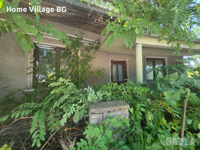 Просторна къща за ремонт или събаряне, обл.Силистра, снимка 7 - Къщи - 53231264