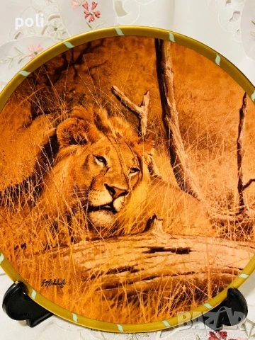 порцеланова чиния за стена , снимка 3 - Декорация за дома - 50807751