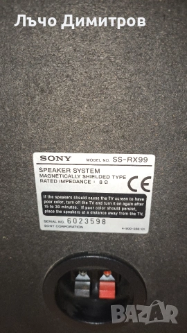 SONY RX99, снимка 14 - Тонколони - 53578465