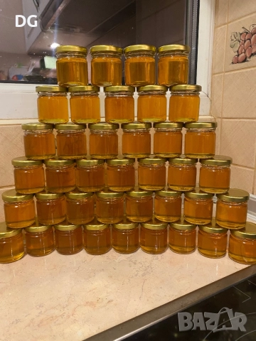 Бурканчета с мед 40 мл., снимка 4 - За пчели - 51933845