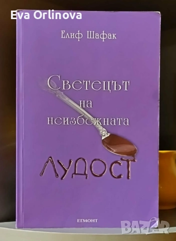 ЕЛИФ ШАФАК - "Светецът на неизбежната лудост"