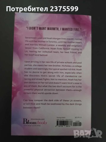 My Fault (Моя вина), Mercedes Ron, на английски език, снимка 3 - Художествена литература - 49896217