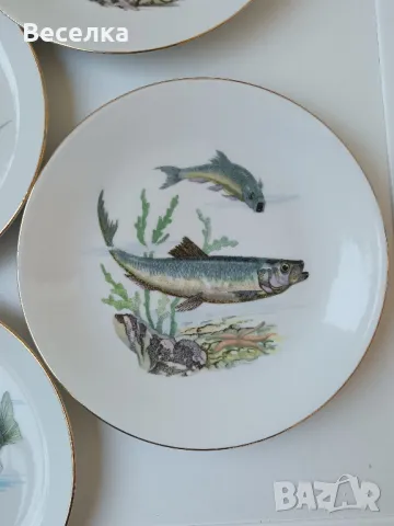 Порцеланови чинии с декор различни риби , снимка 4 - Въдици - 50056838