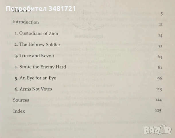 Irgun. Revisionist Zionism 1931-1948, снимка 2 - Художествена литература - 54167948