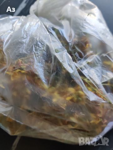 Продавам Жълт кантарион -  изсушена билка за чай, снимка 4 - Разсади - 45100530