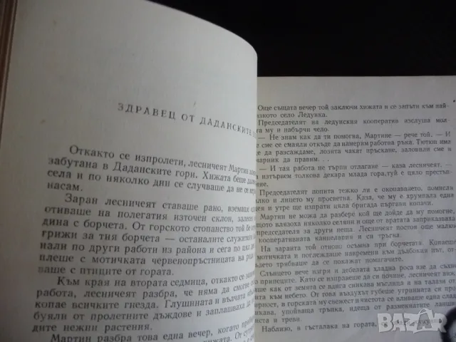 Хлапето Георги Мишев разкази за деца рядка книга автор писател, снимка 3 - Детски книжки - 47397610